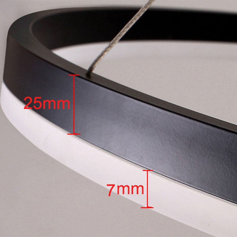 Remi Pendant Light Tir-Circle Liner - product image 15