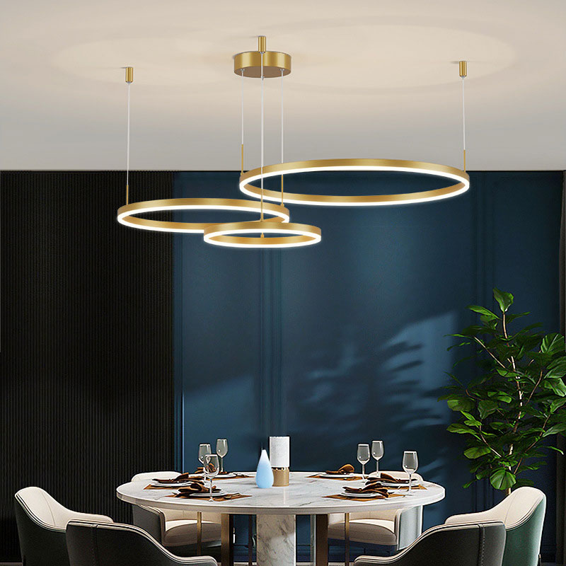 Remi Pendant Light Tir-Circle Liner - product image 23