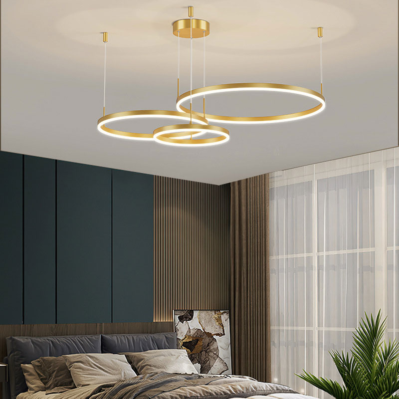 Remi Pendant Light Tir-Circle Liner - product image 25