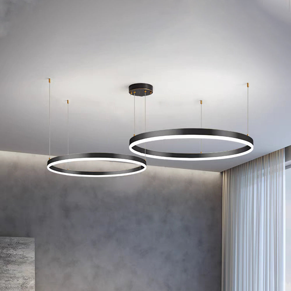 Remi Pendant Light Tir-Circle Liner - product image 27