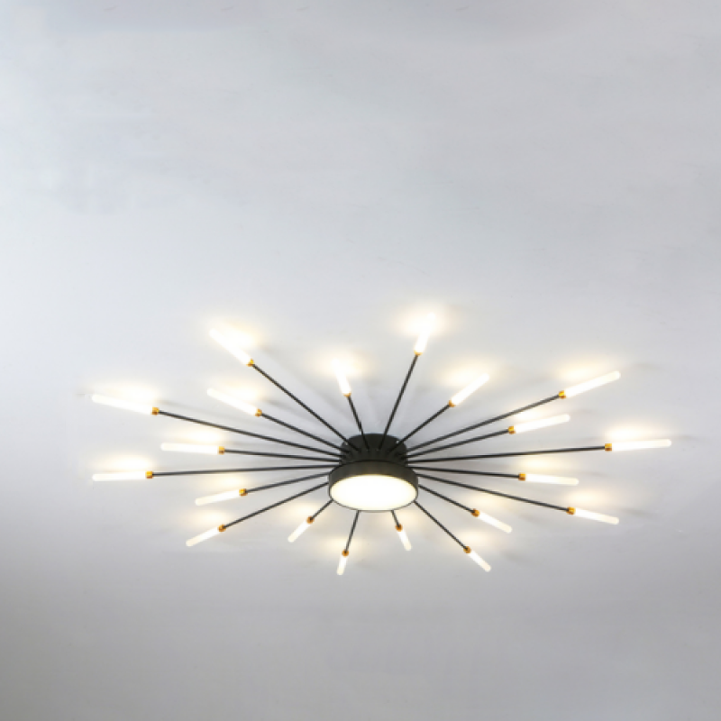 Wesley Modern Home Decoration Fireworks LED Ceiling Light - product image 21