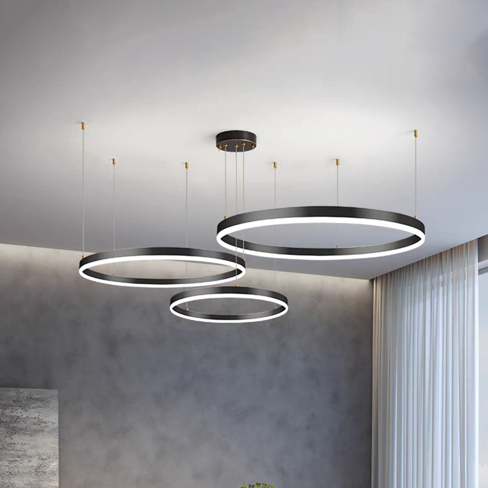 Remi Pendant Light Tir-Circle Liner - product image 28