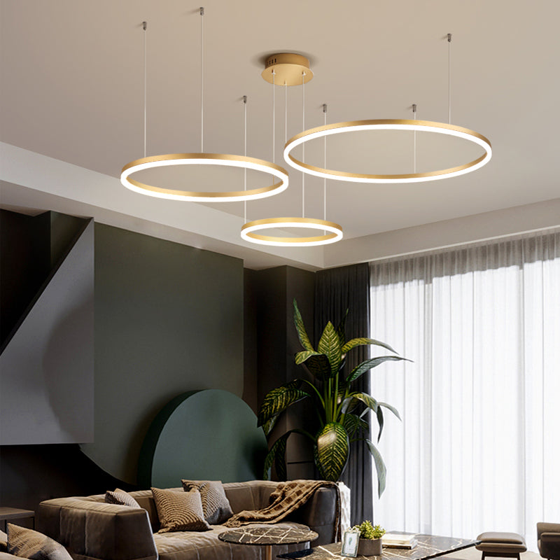 Remi Pendant Light Tir-Circle Liner - product image 20