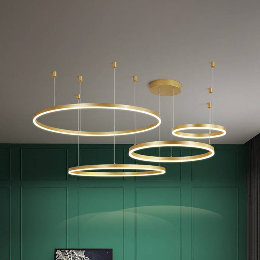 Remi Pendant Light Tir-Circle Liner - product image 29